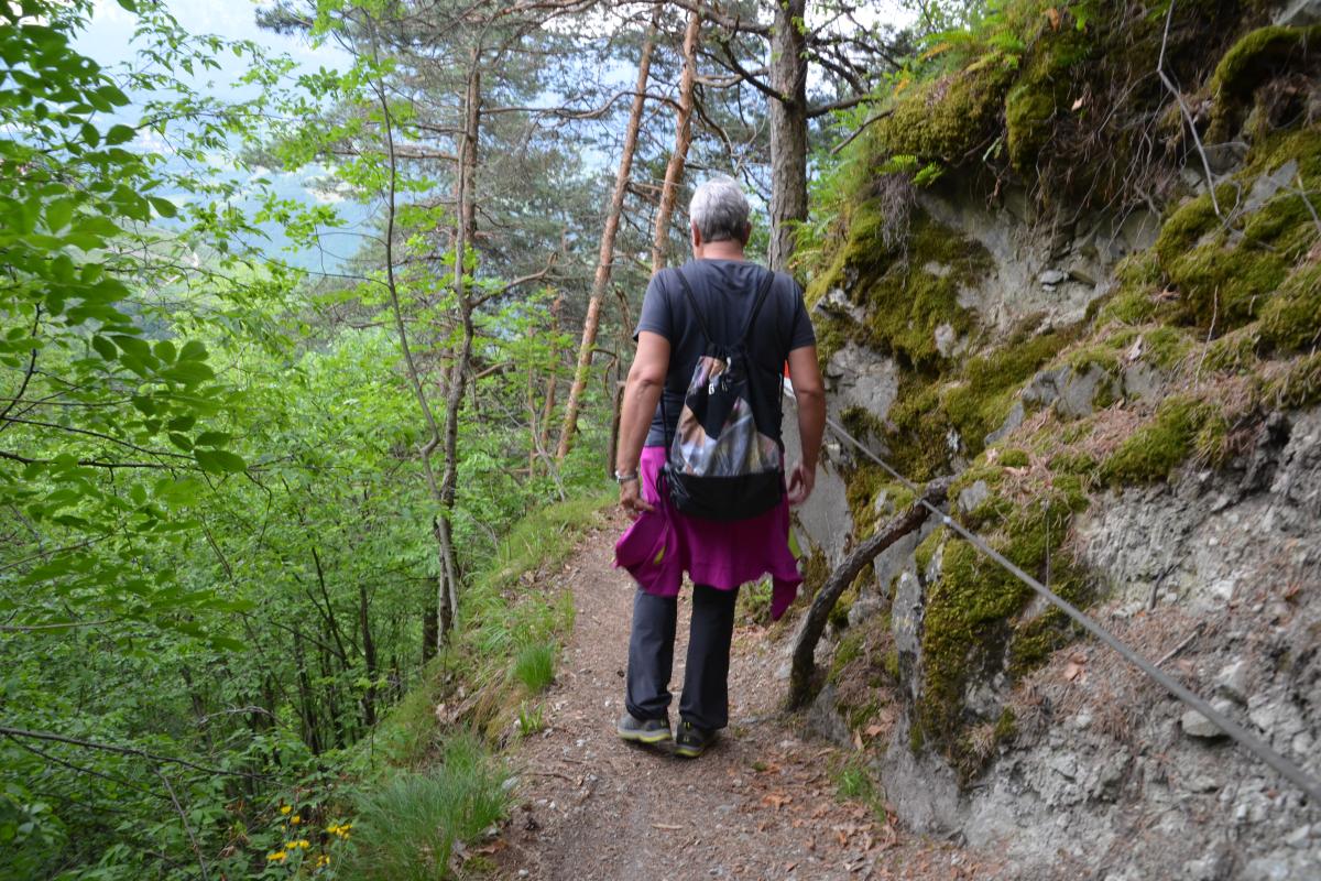 Rielingerhof 06.06.2019